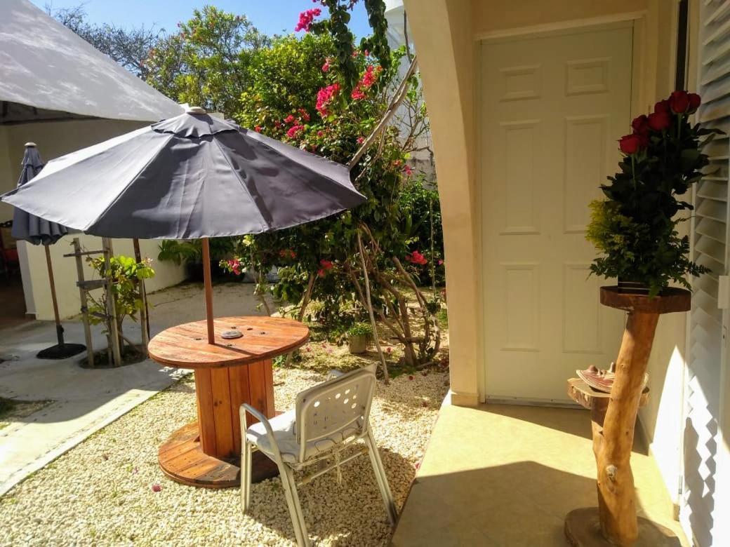 Balanca Studios Puerto Morelos Exterior photo